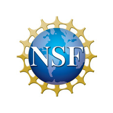 NSF Logo